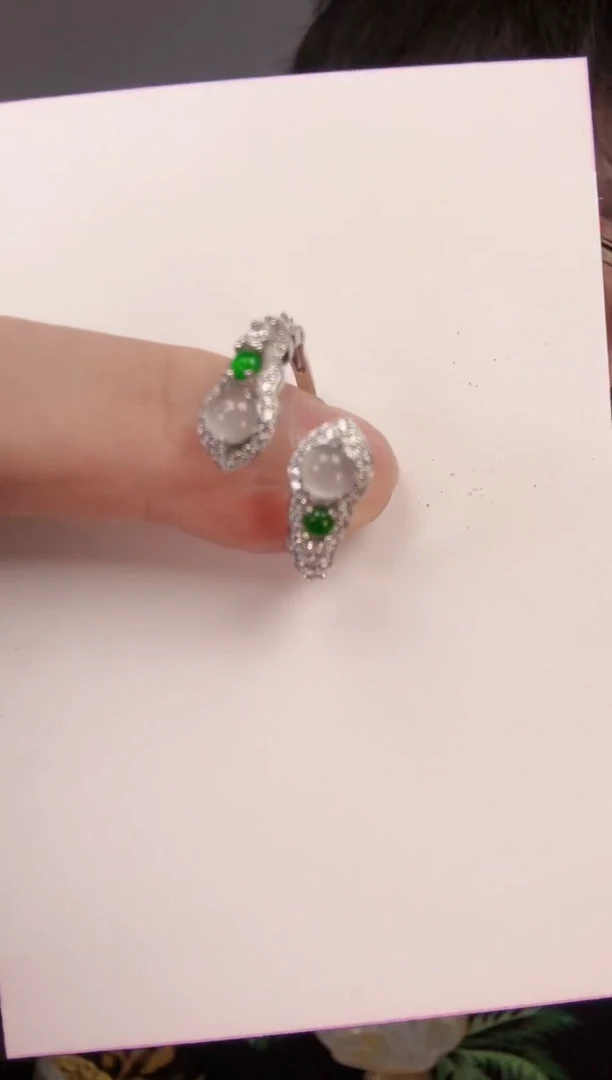 【闪购商品】翡翠颈饰未镶嵌一件