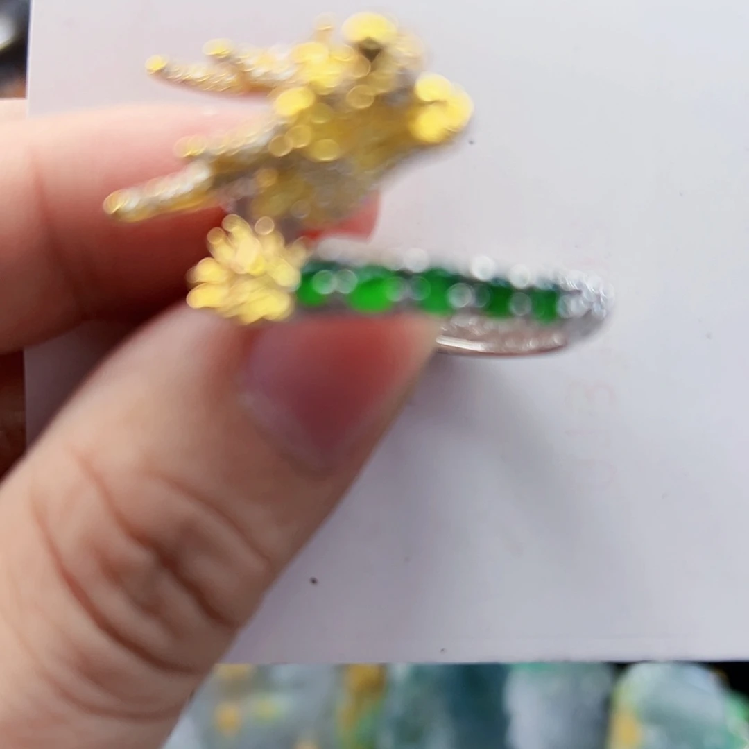 【闪购商品】翡翠颈饰未镶嵌