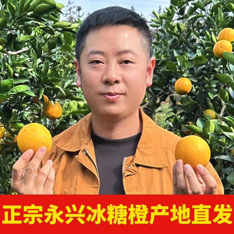 【叉子专属】湖南正宗永兴冰糖橙甜橙子新鲜水果带箱水果现摘现发