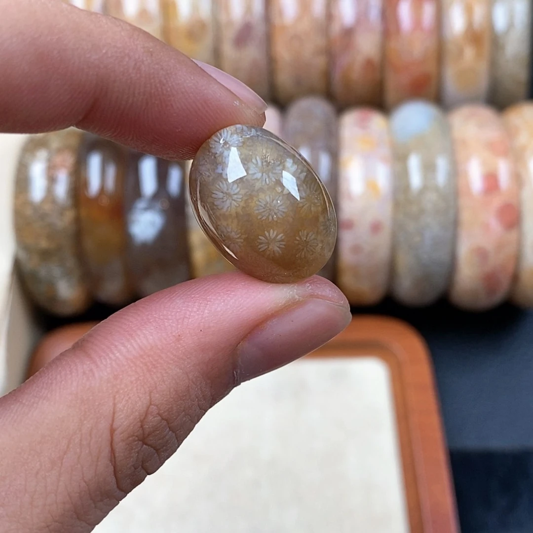 【闪购商品】硅化珊瑚（珊瑚玉）龟甲75未镶嵌