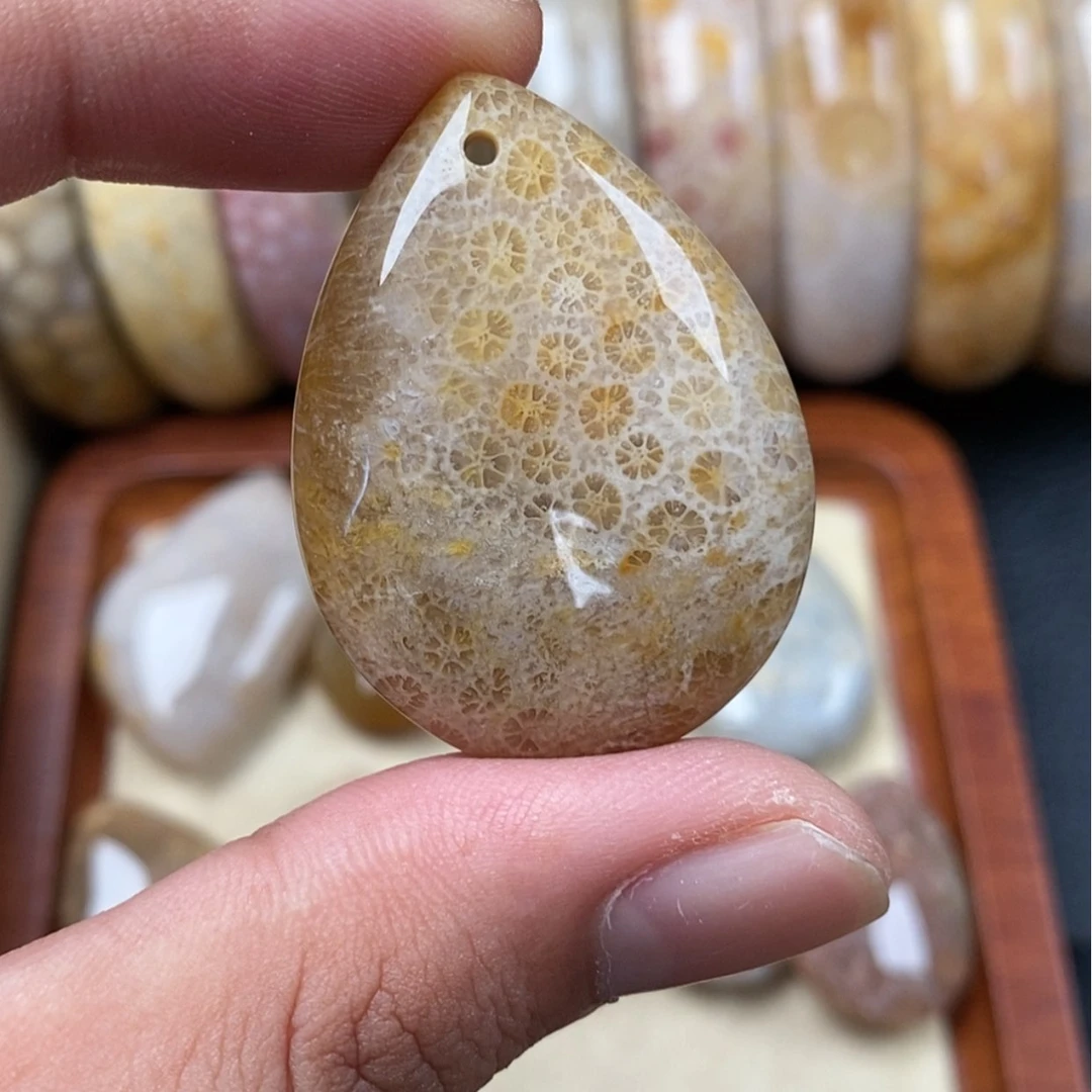 【闪购商品】硅化珊瑚（珊瑚玉）吊坠42未镶嵌
