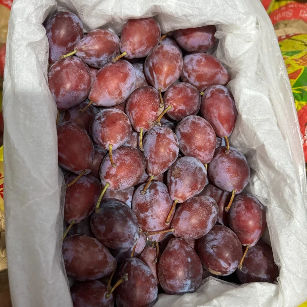 新疆西梅一箱 超大颗粒 纯甜