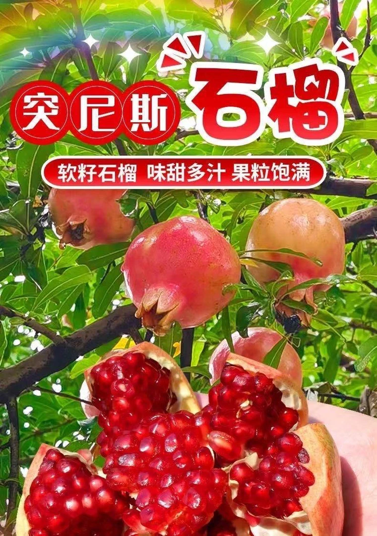 突尼斯软籽石榴，个大皮薄，果粒晶莹剔透，2/8斤现采现发送开果器
