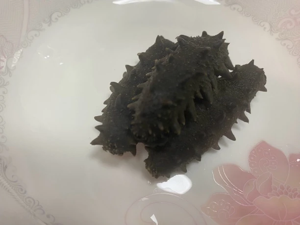 青岛胶州湾大号中火盐渍海参