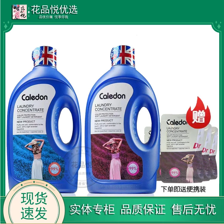 卡莱登洗衣原液去污去渍持久留香香氛洗衣液薰衣草香家庭装大容量