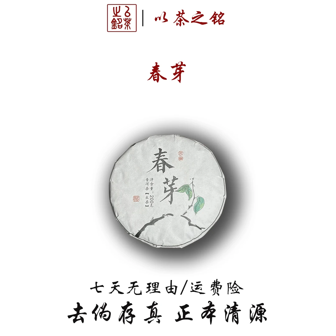 【以茶之铭】200g春芽·普洱生茶·滋味清甜