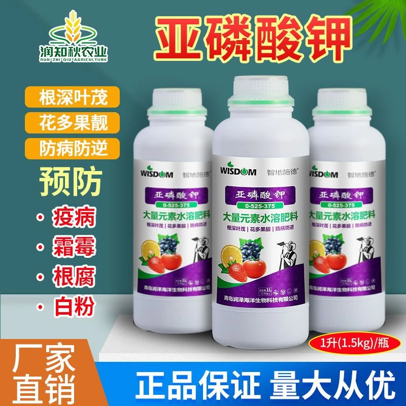 智地施德亚磷酸钾叶面肥防溃疡控旺抗病保花保果膨果柑橘果树蔬菜