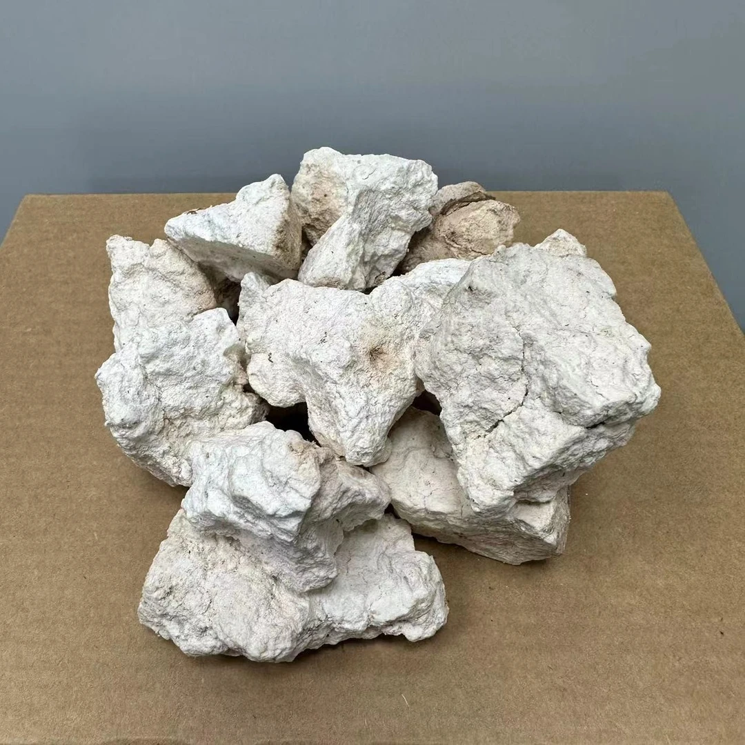 精选 茯苓 云苓白茯苓无硫天然野山货