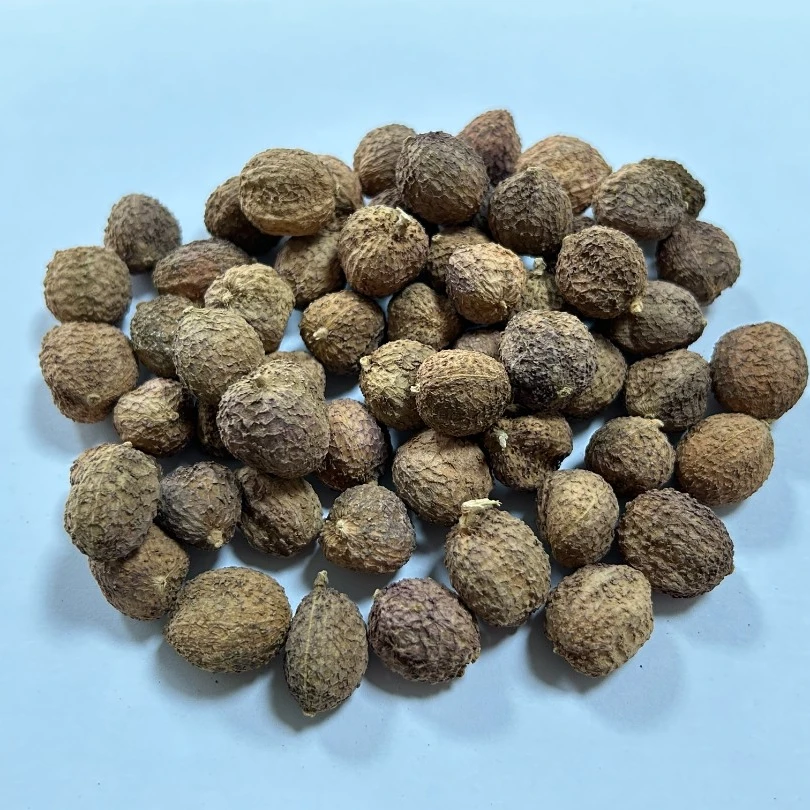 春砂仁 广东春砂仁 干果