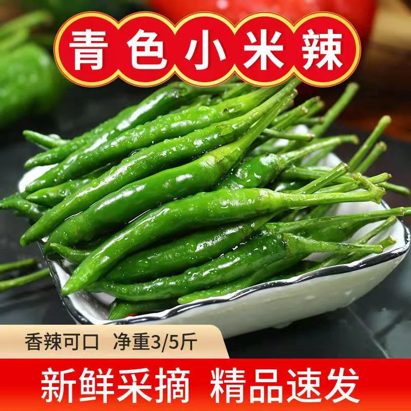 青小米椒新鲜朝天椒特辣现摘指天椒5斤剁泡椒超辣椒蔬菜小米椒