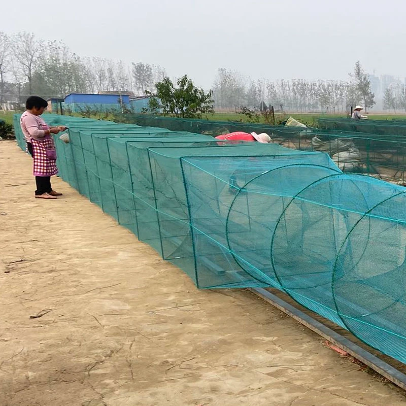 60高80宽大框养殖笼大进口超大加大加重捕鱼笼甲鱼网