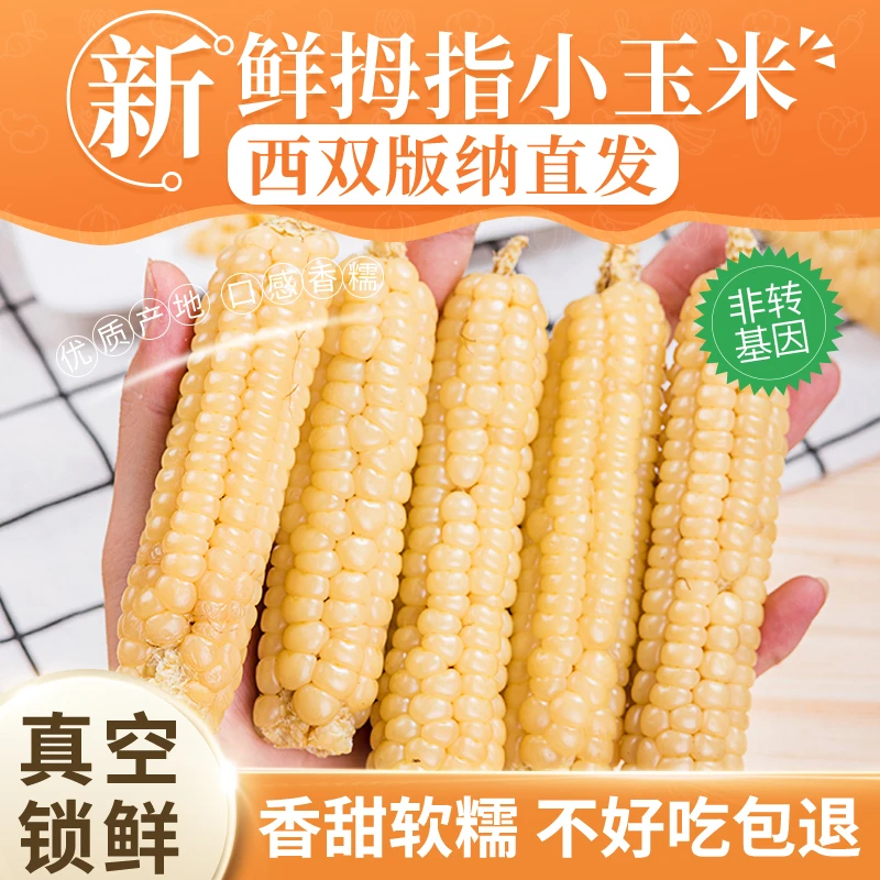 【直播专享】西双版纳傣家拇指小玉米即食代餐宝宝1斤/2斤/4斤