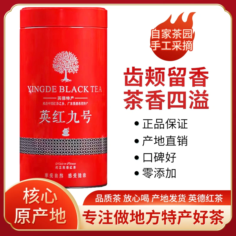 茶园直供英红九号英德红茶1959老树浓香型春茶叶英红9号批发罐装
