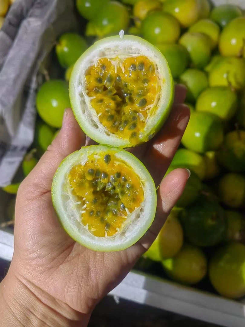 钦蜜九号百香果
