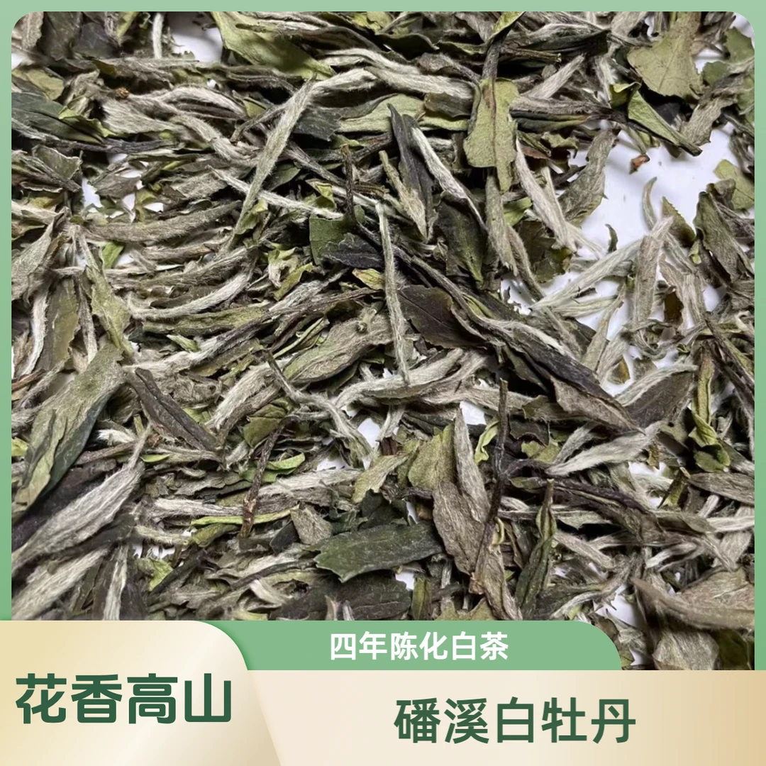 坑王精选磻溪白牡丹100g 高山白茶2020年春茶4年陈化
