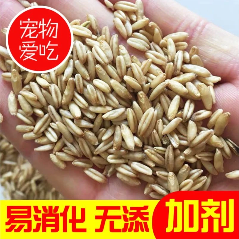 优质燕麦米鸟食中小型颗粒鸟粮雀麦虎皮牡丹玄凤鸽子粮