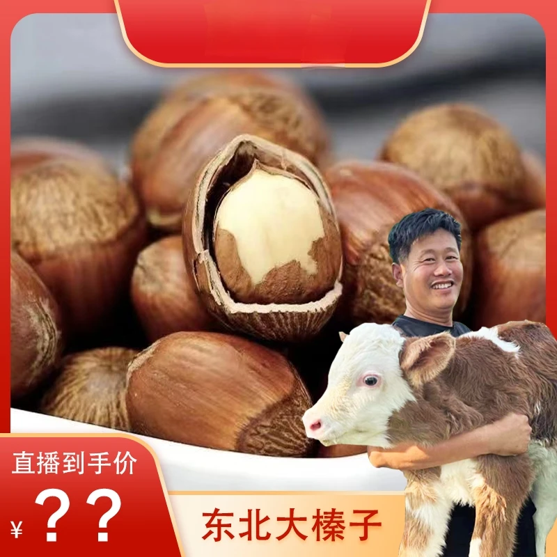 东北铁岭薄皮大榛子（500g/包*4包+夹子可以试吃）