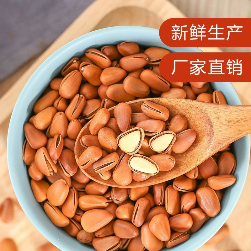 东北开口松子批发含罐年货特产坚果干果松子大颗粒深山产品精选营