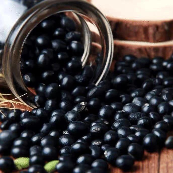 东北绿芯绿心黑豆农家新豆打豆浆醋泡青仁小乌豆粗粮杂粮豆类