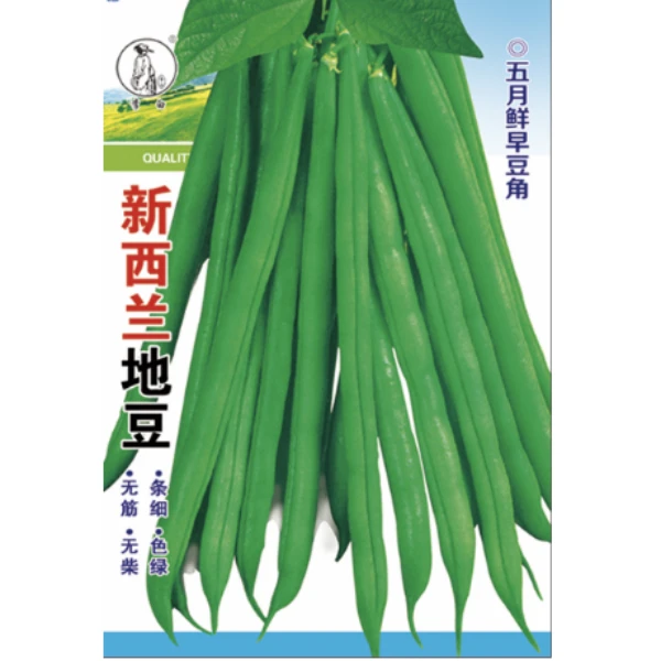 李白新西兰地豆豆角种子