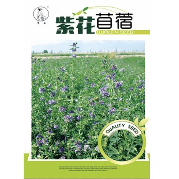 李白紫花苜蓿种子