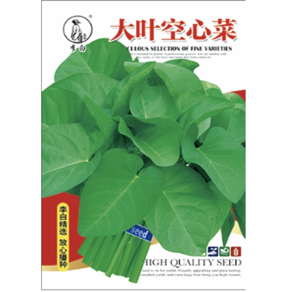 李白大叶空心菜种子