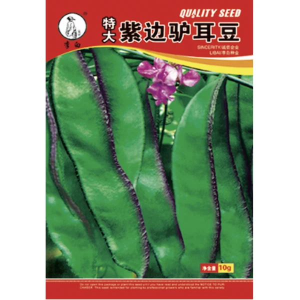 李白特大紫边驴耳豆眉豆种子