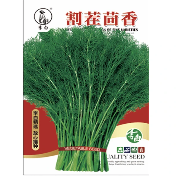 李白割茬茴香种子