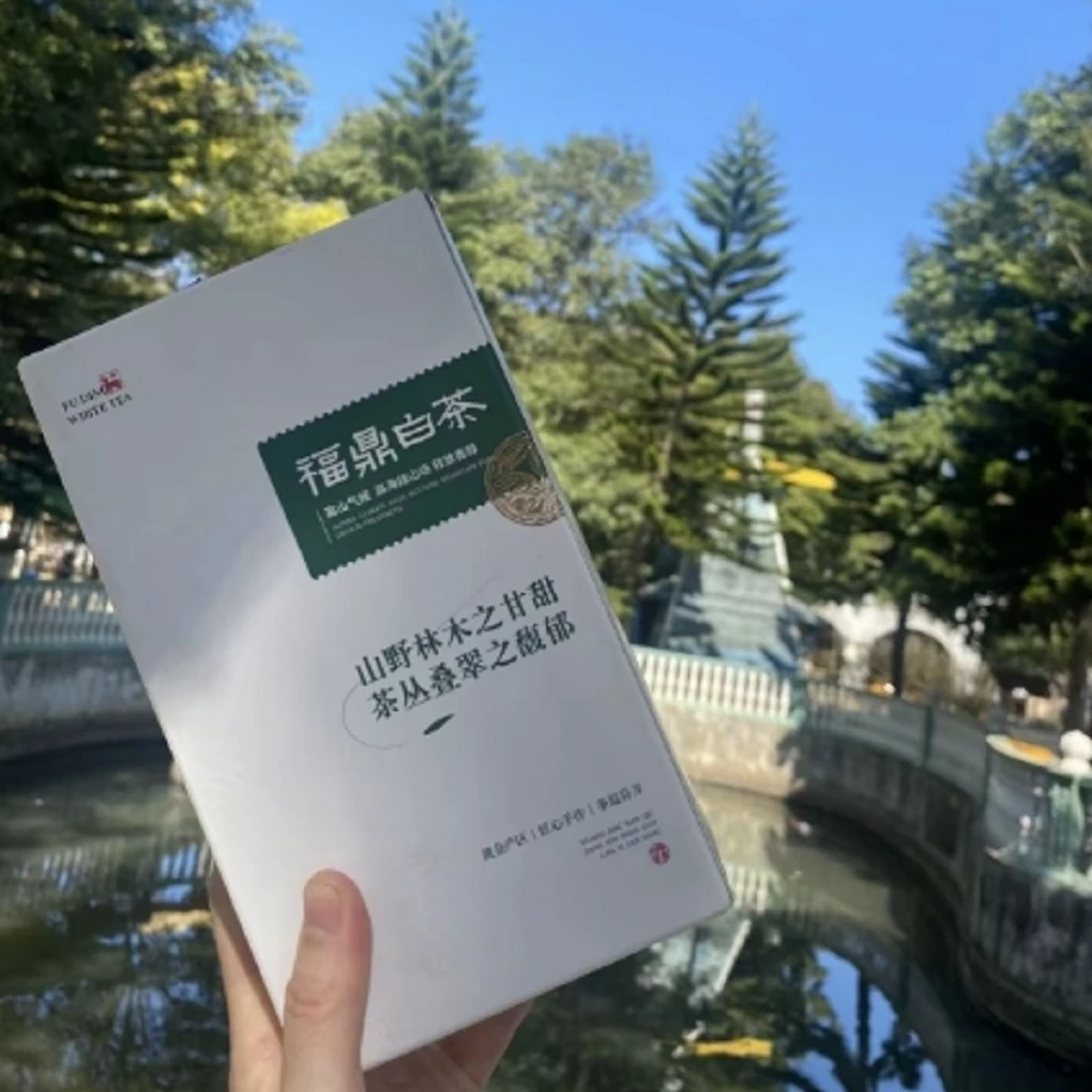 【白色盒子 福鼎白茶一盒 】进出口云仓 现场开箱