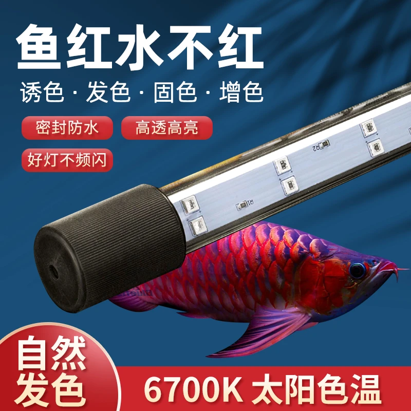 尼奥鱼缸灯雷龙鱼专用灯吉罗灯LED日光发色灯斗鱼金龙鱼增艳增色