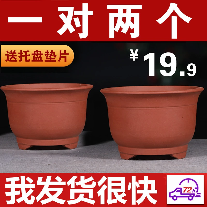 花盆2021新款兰花专用花盆特大号紫砂花盆大口径种树陶瓷花盆特价
