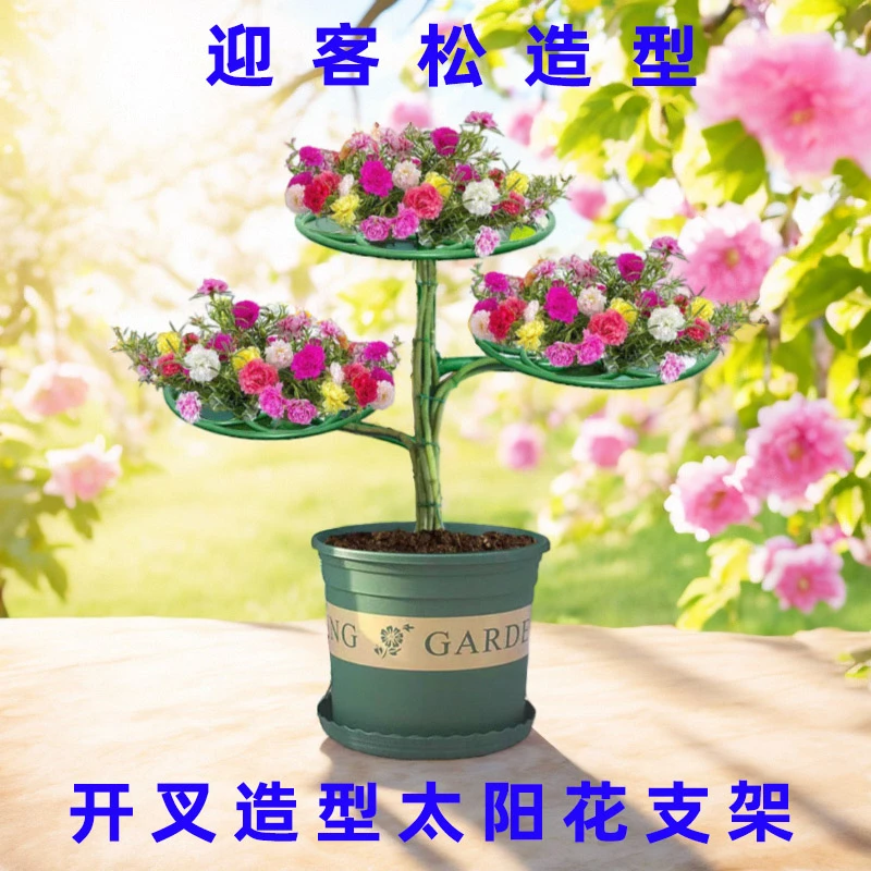 太阳花架造型花塔 支架蟹爪兰嫁接叶仙绿萝单多层爬藤架子支撑杆