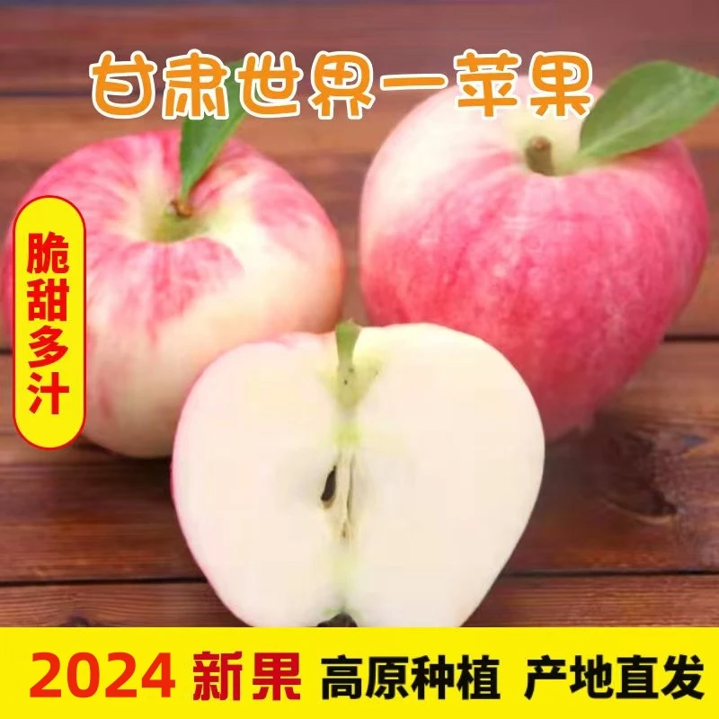 天水秦安苹果【世界一号】