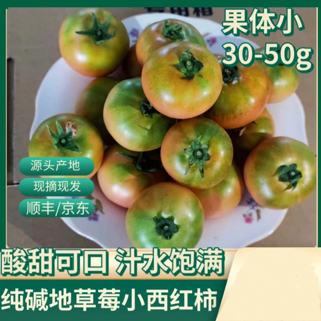 【西红柿】碱地绿肩草莓西红柿 五斤装（每个30g-50g左右）