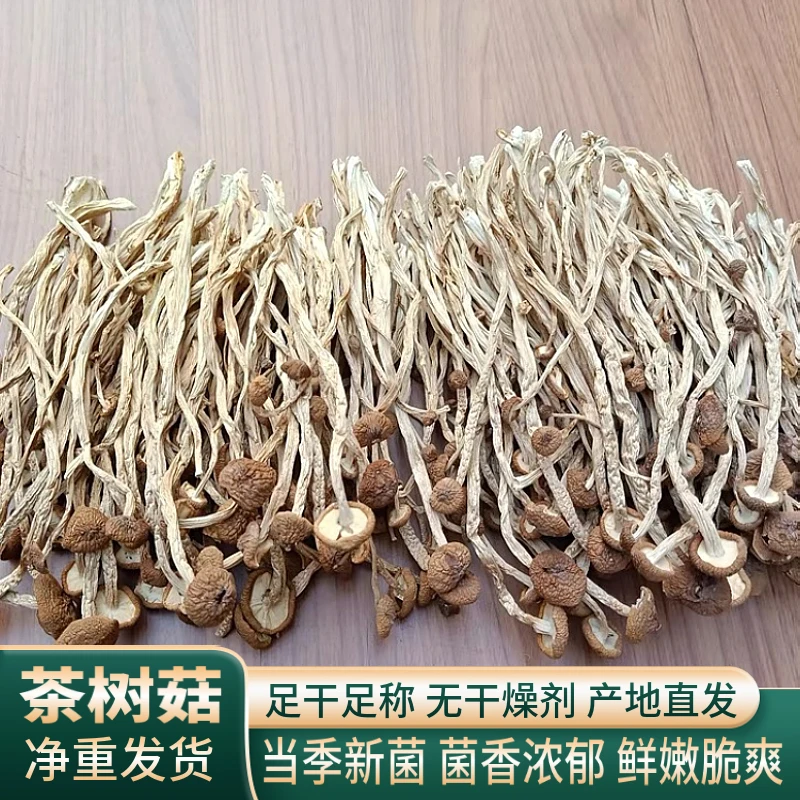 新货农家茶树菇干货食用菌菇新鲜高品质老少皆宜营养鲜美干货菜类