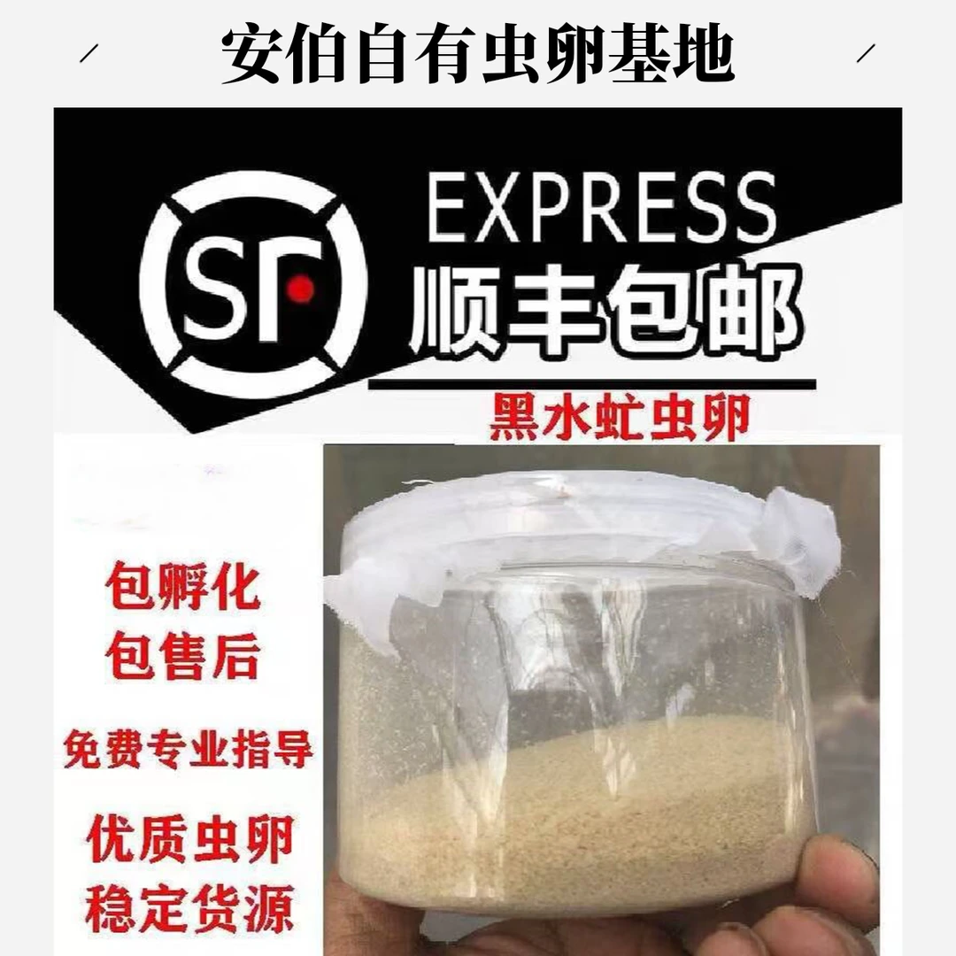【批发】黑水虻虫卵批发，喂鸡鸭鹅鱼虾蟹龟鳖蛙