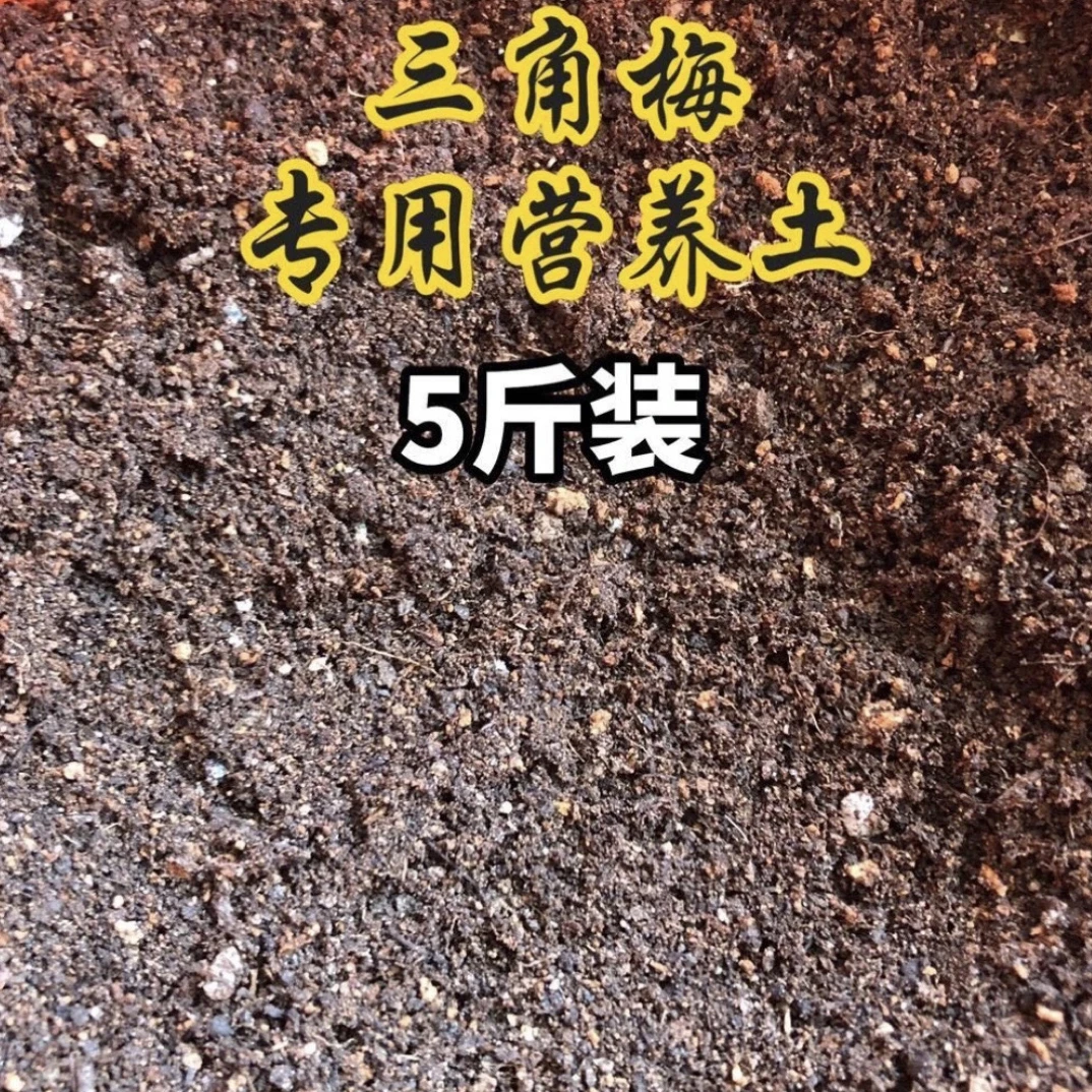 三角梅自家用土营养土