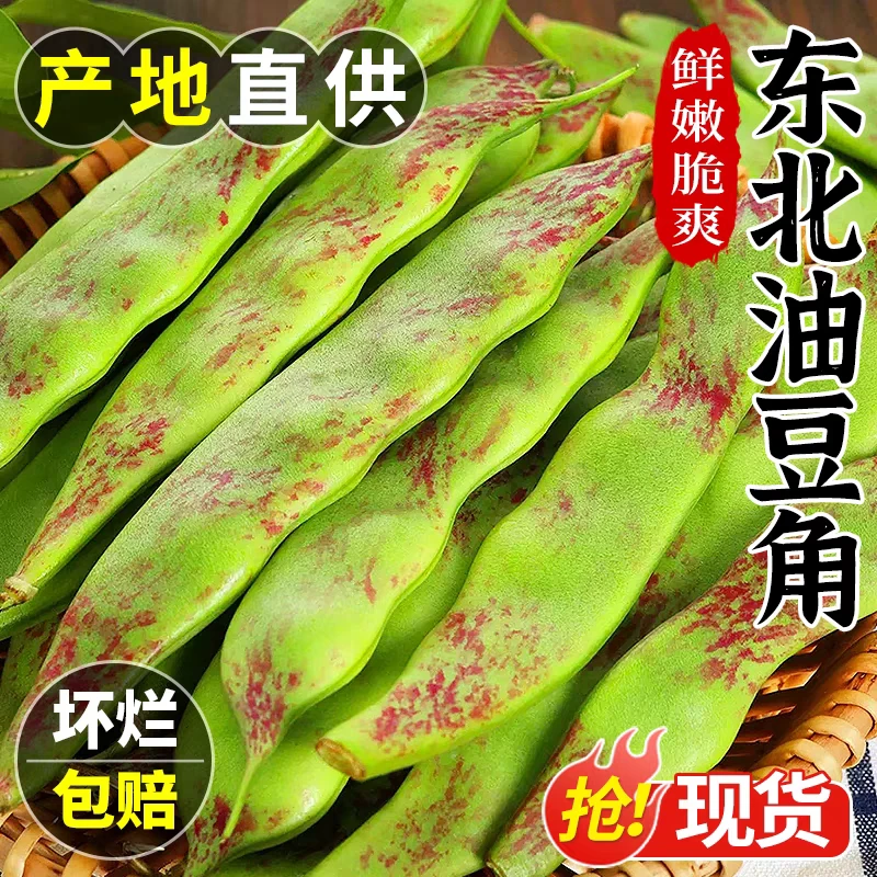 正宗东北油豆角云南一点红油豆角九月青大面豆角冒泡豆角宽面角豆