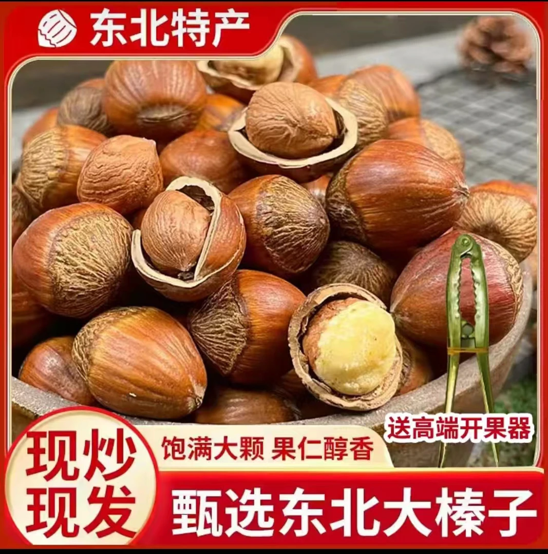 2024年新货大果（种植）榛子拍四斤发5斤 酥脆甜香 不开口送夹子