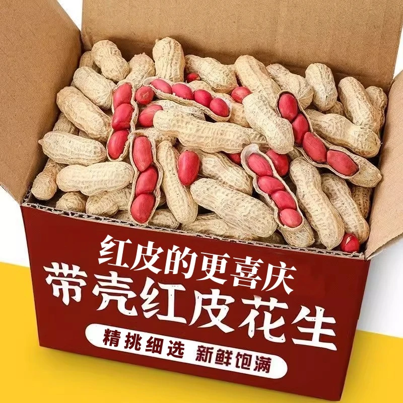 红皮花生米带壳2024炒货生花生带壳新鲜花生生的种子红衣晒干生的
