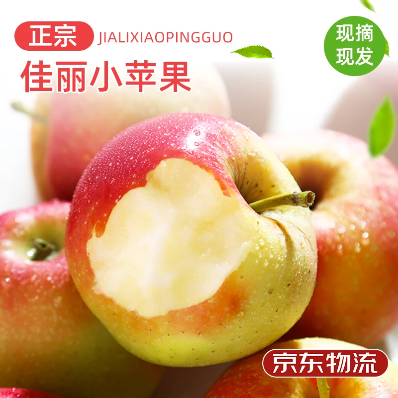 【辛小辛】山西佳丽小苹果4斤装 12-15个装
