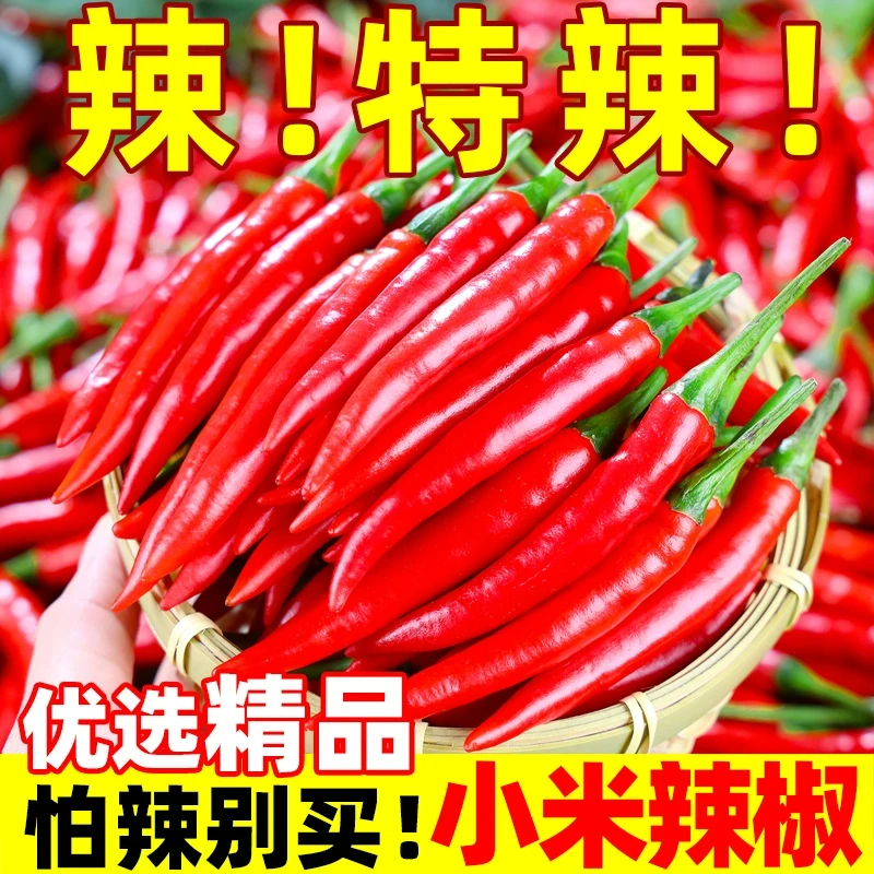 新鲜现摘小米辣椒现摘特辣朝天椒辣椒炒菜尖椒批发薄皮特辣250g起
