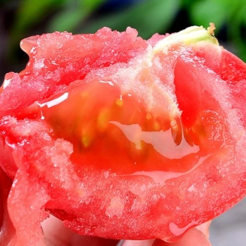 正宗山东普罗旺斯沙瓤西红柿自然熟番茄柿子新鲜蔬菜小番茄4.5斤