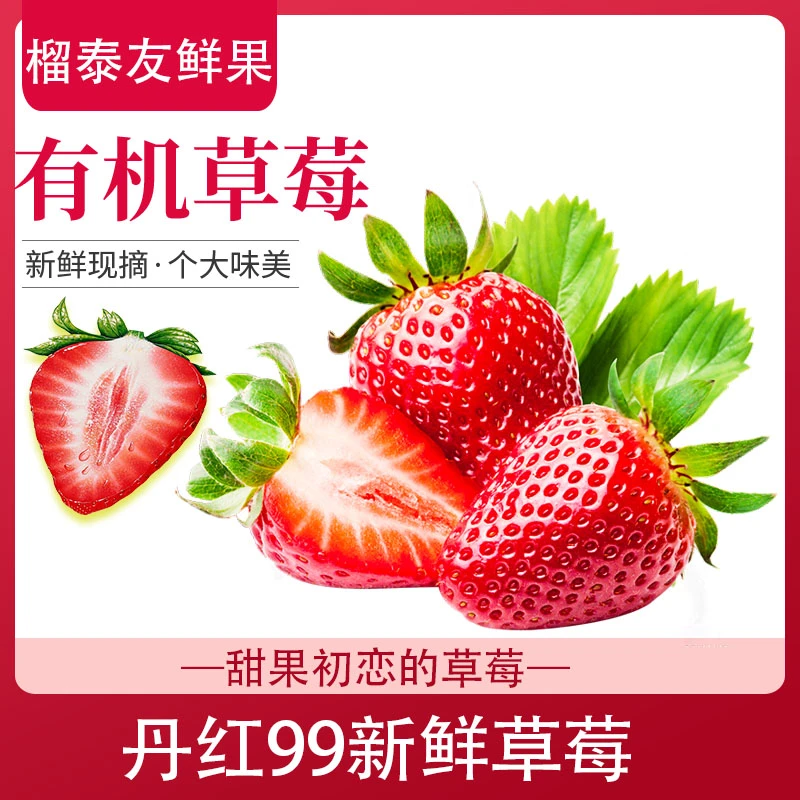 【丹红99草莓】15颗新鲜当季现摘红颜牛奶草莓应季水果