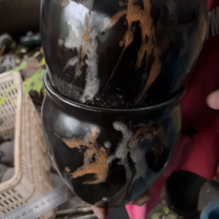 红陶口经高度花盆17 17