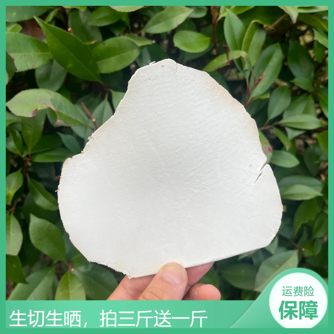 无硫岳西茯苓大别山茯苓生切生晒白术茯苓精选大薄片四神汤茯苓粉