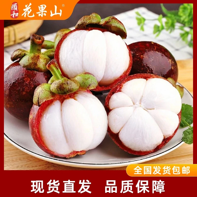 季节限量泰国3A老树山竹麻竹3斤/5斤 新鲜白嫩多汁肉厚