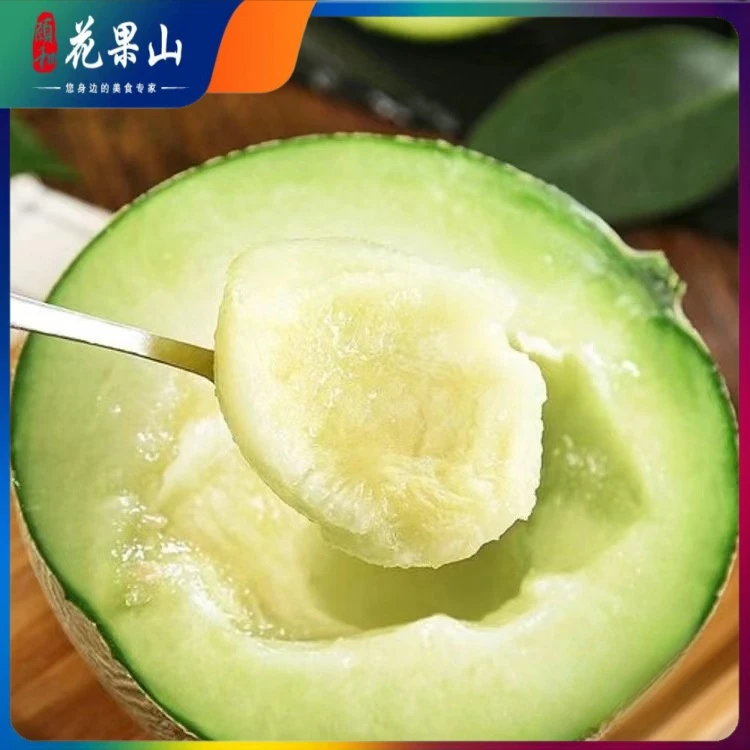 冰淇淋可口蜜网纹蜜瓜新鲜应季水果软甜多汁清甜鲜嫩