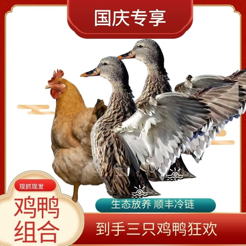 【贴秋膘】到手3只（2只鸭1只鸡）农家散养生态净重两鸭6斤鸡2斤多