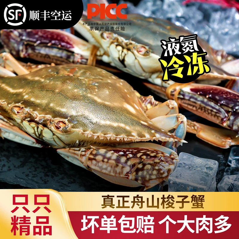 【冻蟹】舟山梭子蟹特大野生大螃蟹海鲜新鲜冷冻水产3-4两3斤约9只